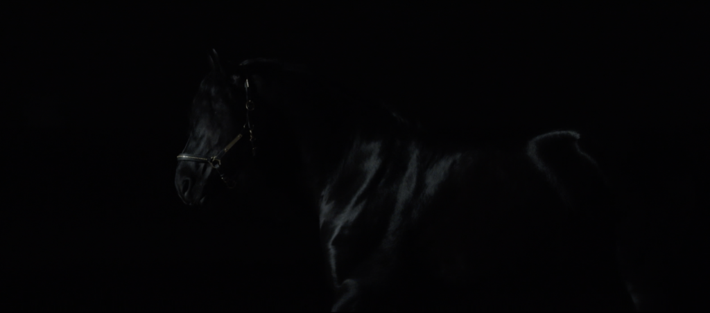 CENTRE EQUESTRE DE DOLE